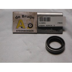 STEEKAS KEERRING CX IHC