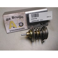 THERMOSTAAT 1013