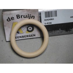 O-RING