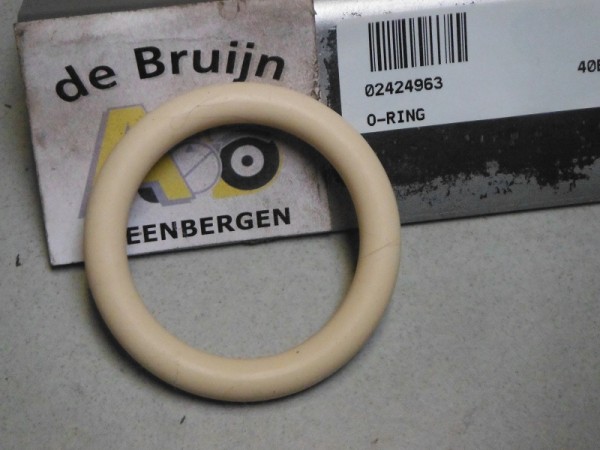 O-RING