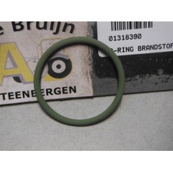 O-RING BRANDSTOFPOMP