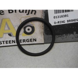 O-RING BRANDSTOFPOMP