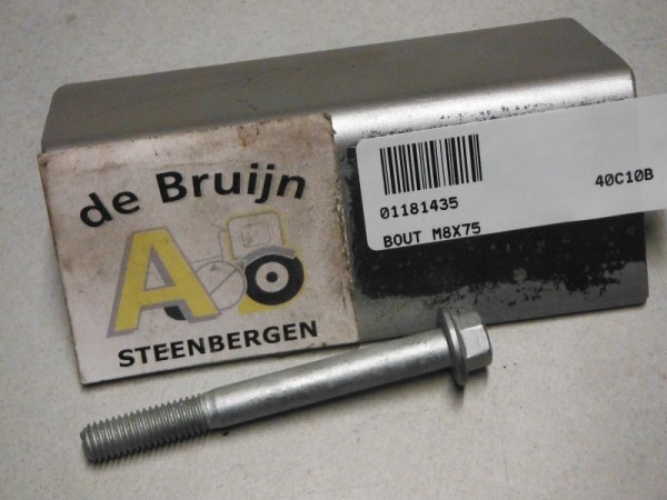 BOUT M8X75