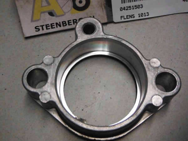 FLENS 1013