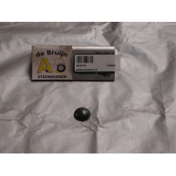 BEVESTIGINGSCLIP TBV ATLAS