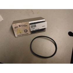 O-RING POMPFLENS