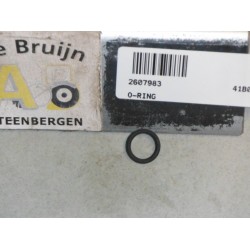 O-RING