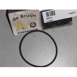 O-RING
