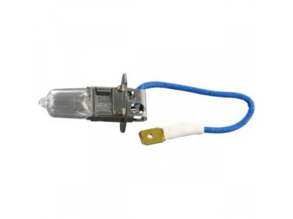 GLOEILAMP 12V 55W H3