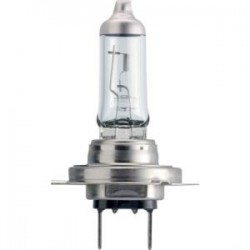 GLOEILAMP 12V 55W H7