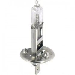 GLOEILAMP 24V 70W H1